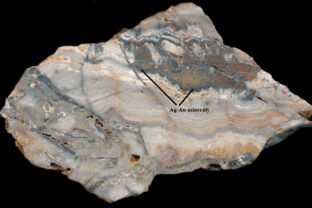 Textura ziloviny.jpg