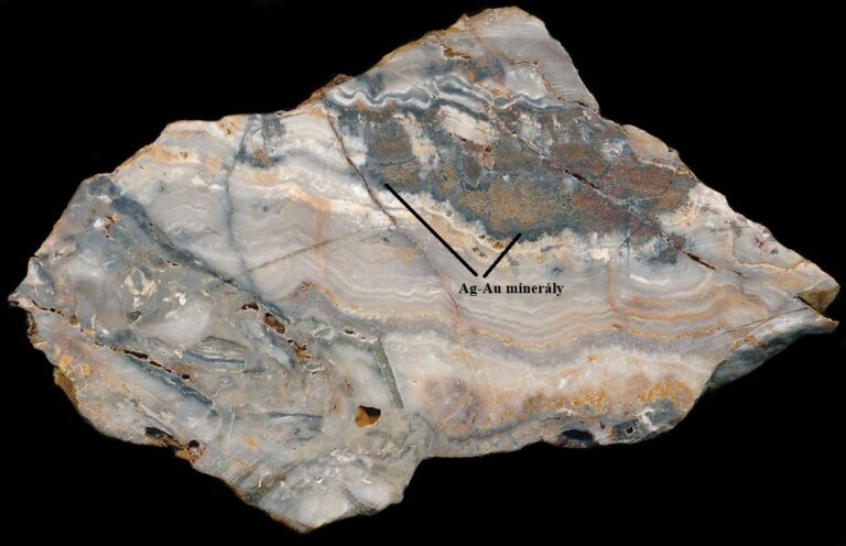 Textura ziloviny.jpg