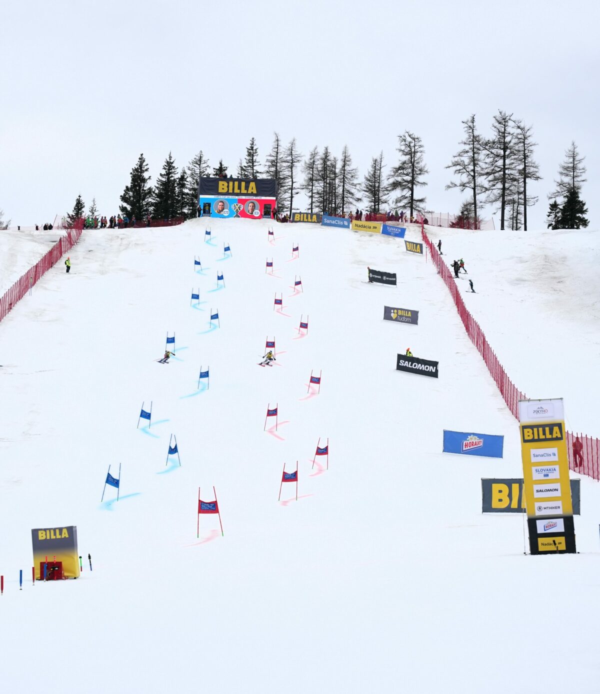 4_pretekari na svahu billa zampa cup u 2025.jpg