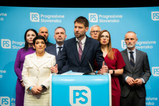 PS: Snem hnutia