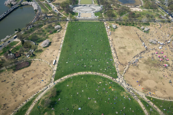 Cherry Blossom Kite Festival