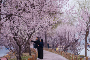 China Daily Life