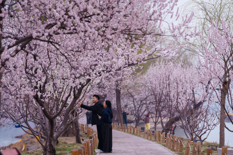 China Daily Life