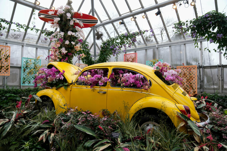 CORRECTION Orchid Show Chicago