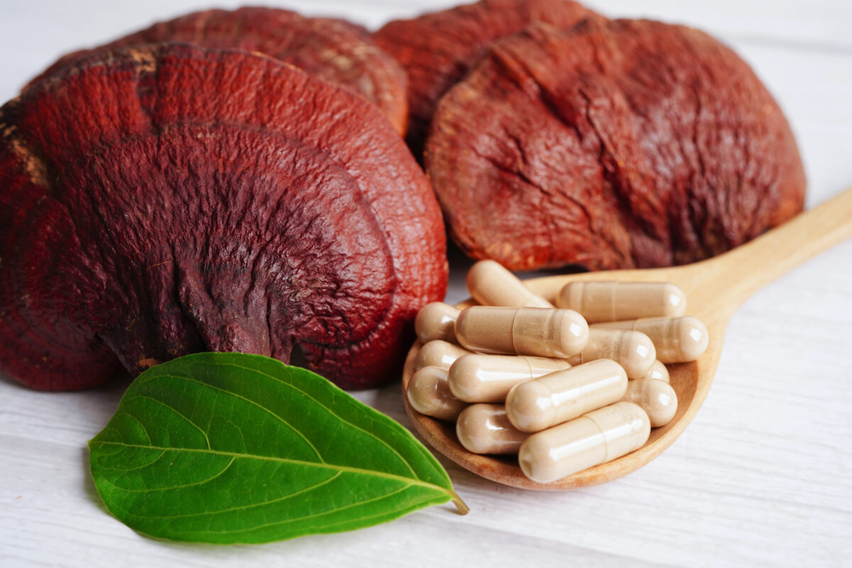 Reishi