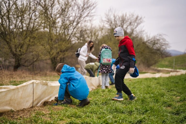 Migrácia ropúch pri nádrži Striebornica v roku 2025.