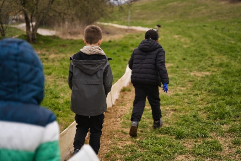 Migrácia ropúch pri nádrži Striebornica v roku 2025.
