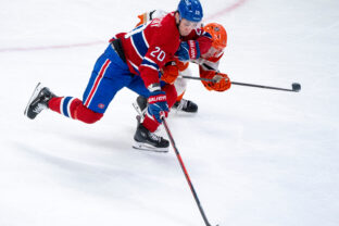 Ducks Canadiens Hockey