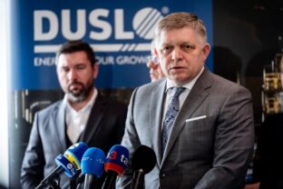 Fico, Duslo Šaľa