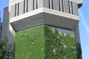 Little green in the city