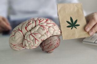 Medical professional presents brain model alongside cannabis leaf illustration in clinical setting