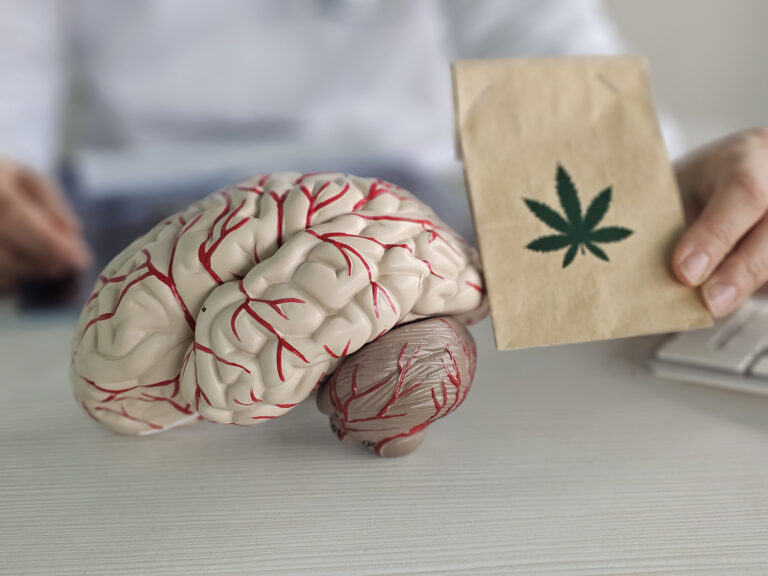 Medical professional presents brain model alongside cannabis leaf illustration in clinical setting