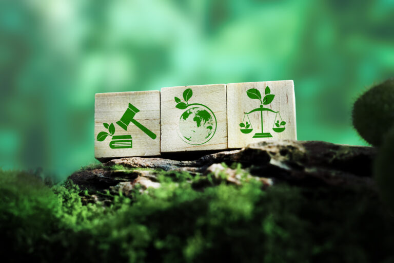 Sustainable law and eco justice icons on wooden cubes over green forest background representing environmental rights