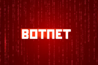 Botnet, Cyber Attack