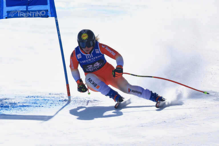 Jasmina Suterová