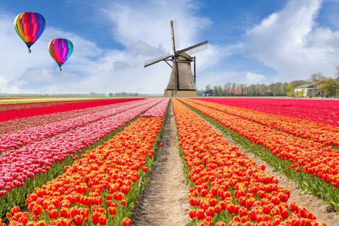 Záhrady Keukenhof každoročne lákajú milióny návštevníkov na jedinečnú prehliadku miliónov tulipánov.