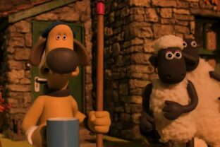 Shaun1.jpg