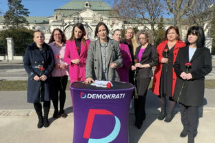 Demokrati, ženy