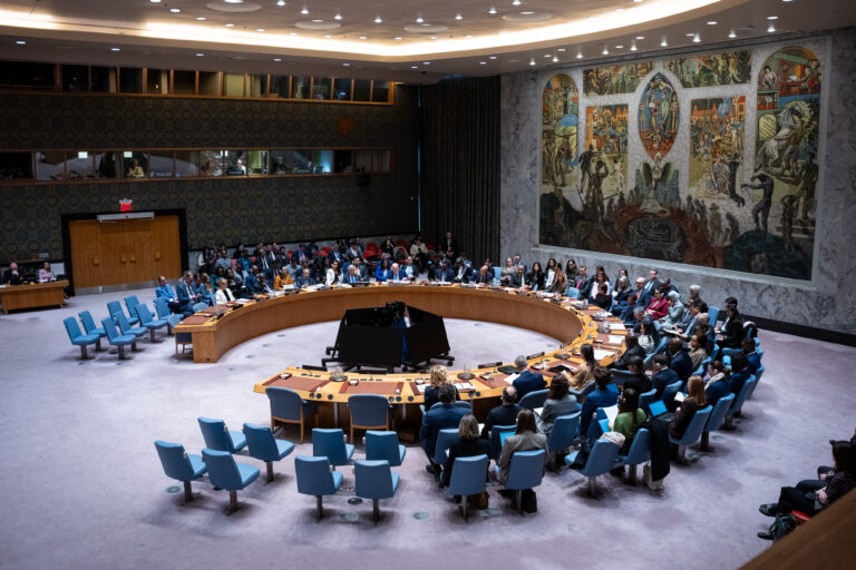 UN Security Council
