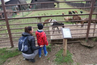 ZOO Košice