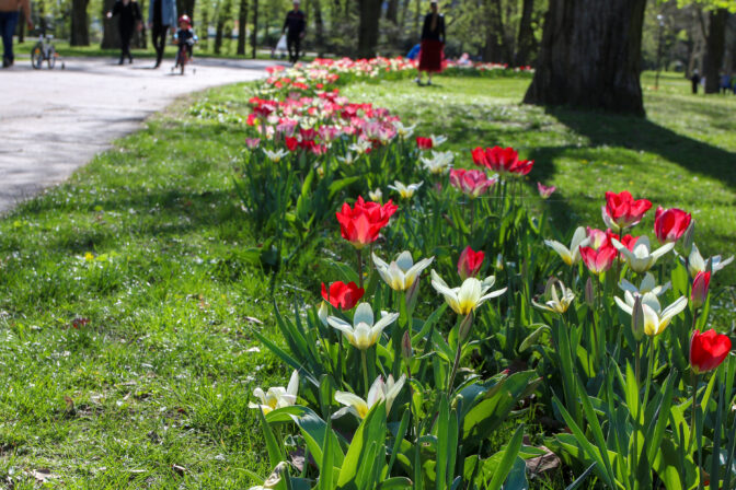 BRATISLAVA: Verejný park Sad Janka Kráľa