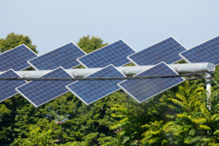 Solárna agro elektráreň Taliansko