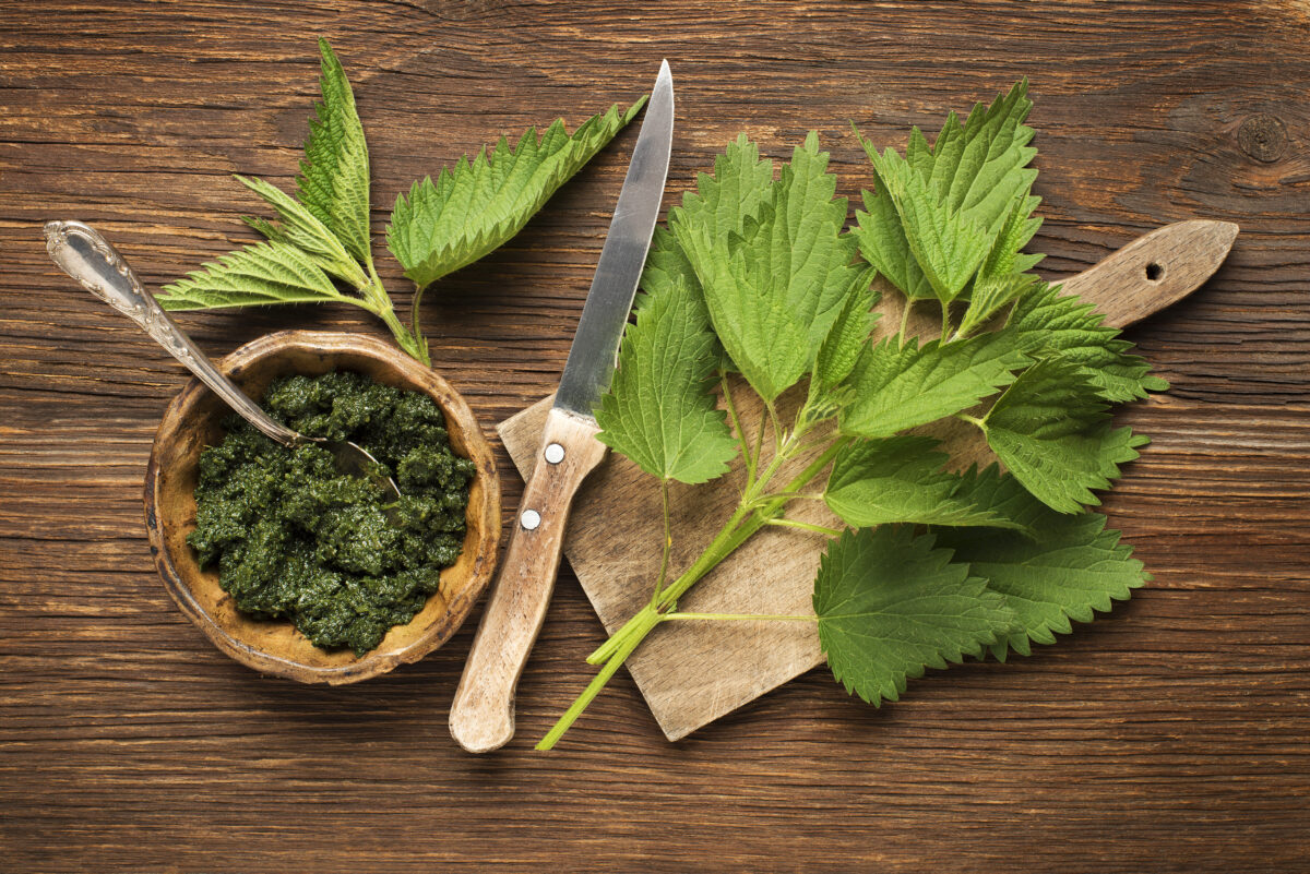 žihľavové pesto