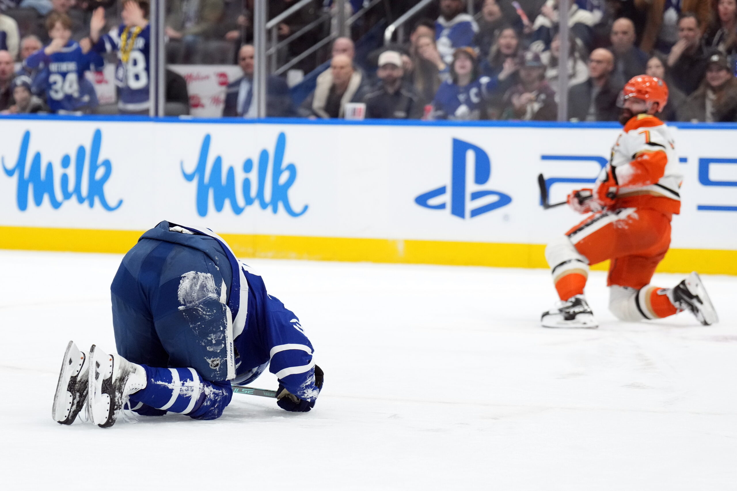 Ducks Maple Leafs Hockey
