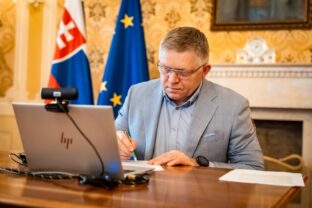 Fico 1.jpg
