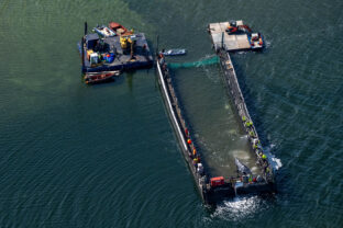 Germany Whale Rescue