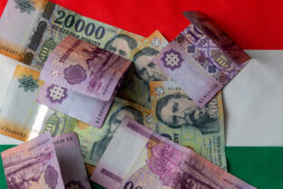 Ekonomika, Maďarsko, forint