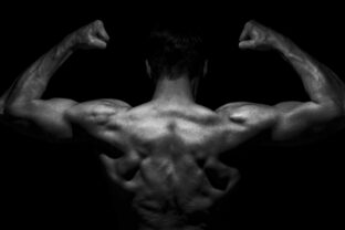 Back Muscles of an Athlete - Bodybuilder