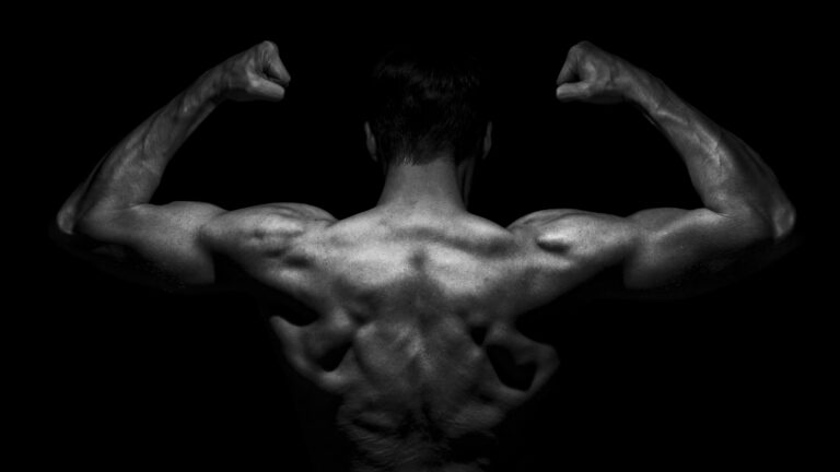 Back Muscles of an Athlete - Bodybuilder