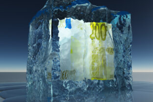 Frozen Euro Note