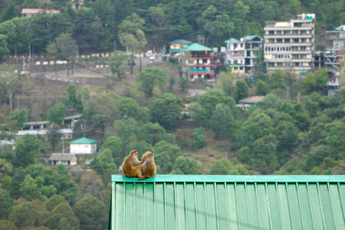 India Daily Life