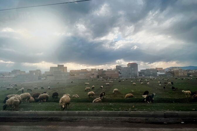 Iran Road Trip