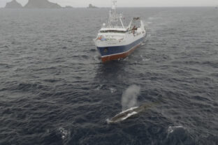 Ocean Fisheries Antarctic Krill Fishing