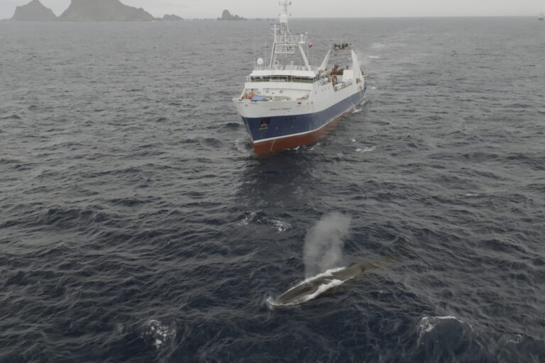 Ocean Fisheries Antarctic Krill Fishing