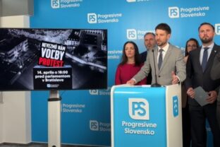 Ps protest volby.jpg