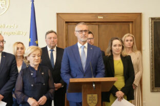 Hlas, raši