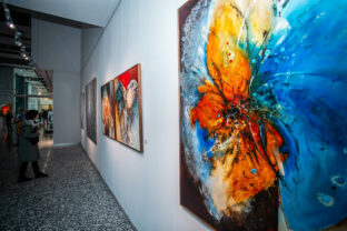Spp galeria vida gwerkova siroke.jpg