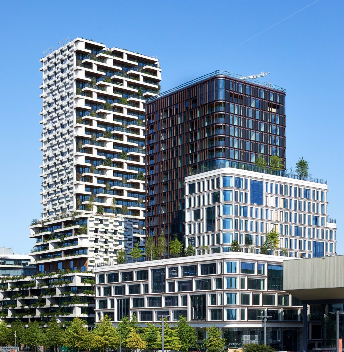 Stefano boeri architetti_wonderwoods_ ©milan hofmans_5 scaled 1.jpg