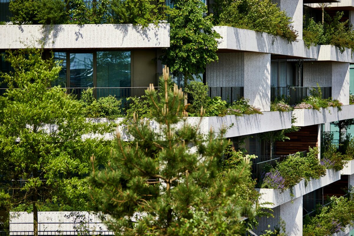 Stefano boeri architetti_wonderwoods_©milan hofmans_2 scaled 1.jpg