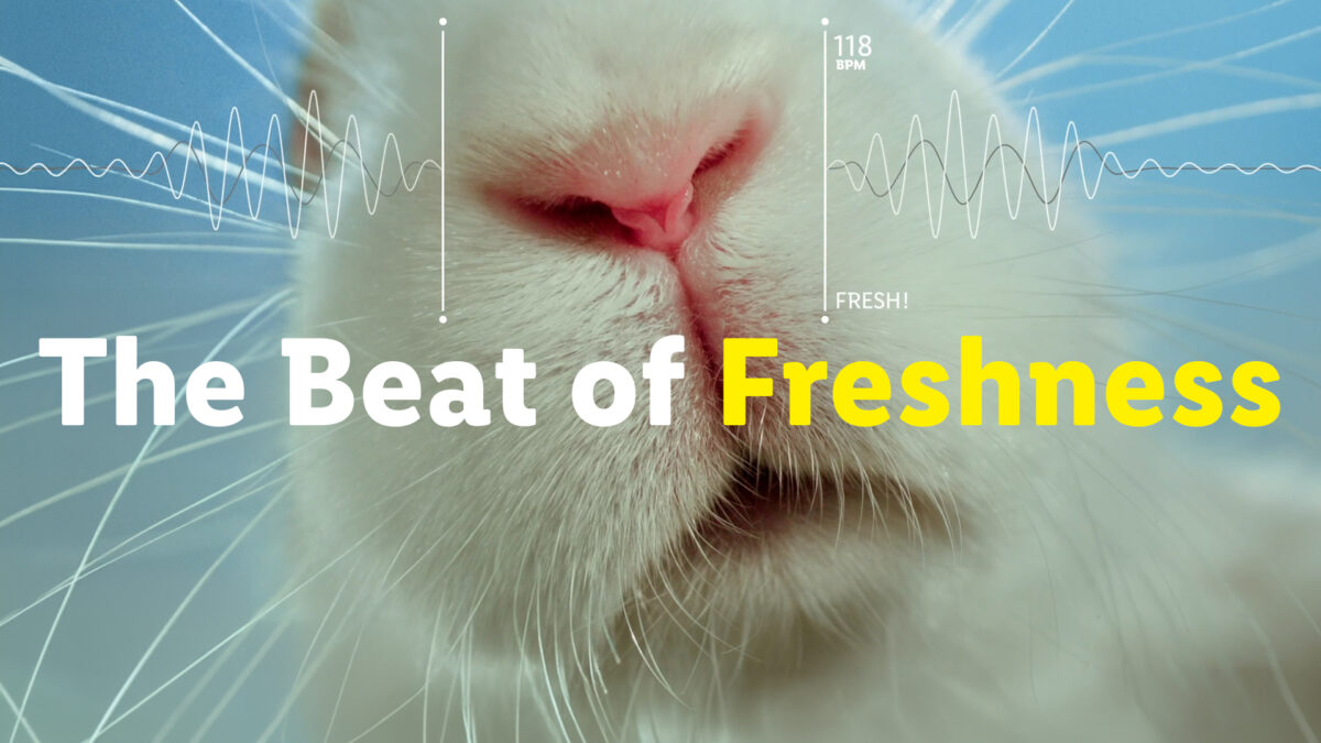 The beat of freshness.jpg
