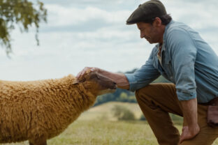 THE SHEEP DETECTIVES