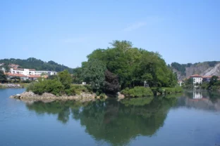 Bažantí ostrov