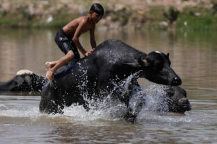 APTOPIX India Hot Summer