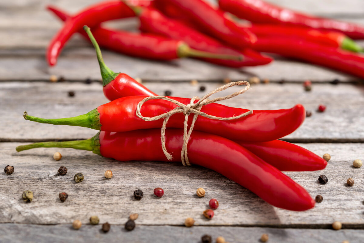 Chilli papričky