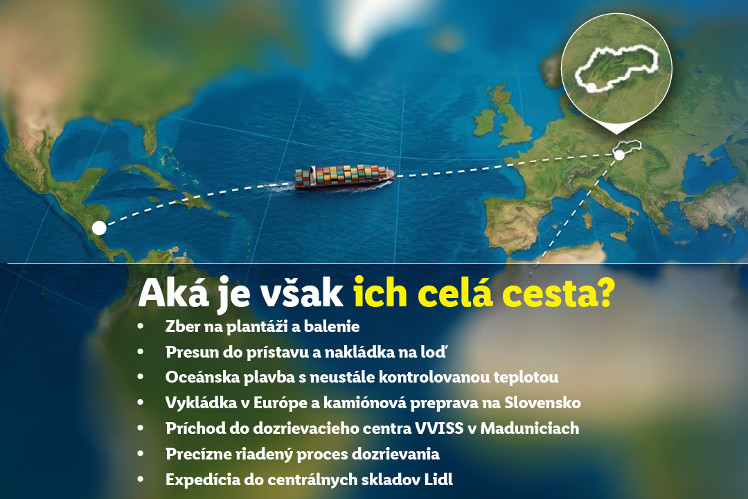 Dozrel cas na banany_cesta_1080x720.png
