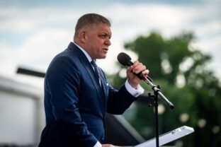 Robert Fico, IDEB